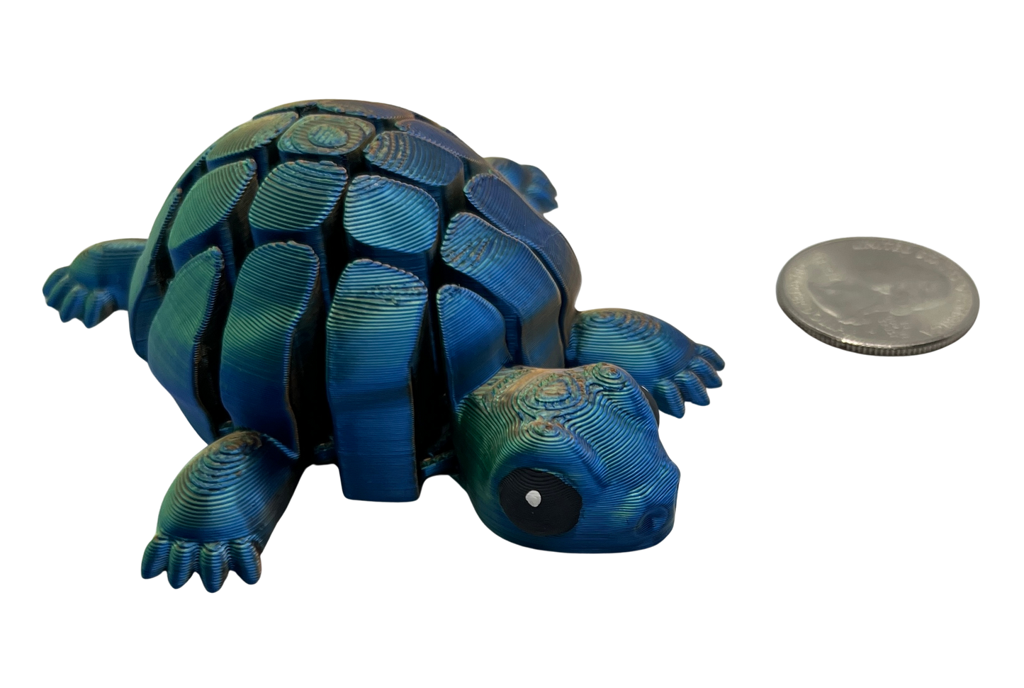 "TORTELLINI" 3D Printed PLA Turtle Fidget toy