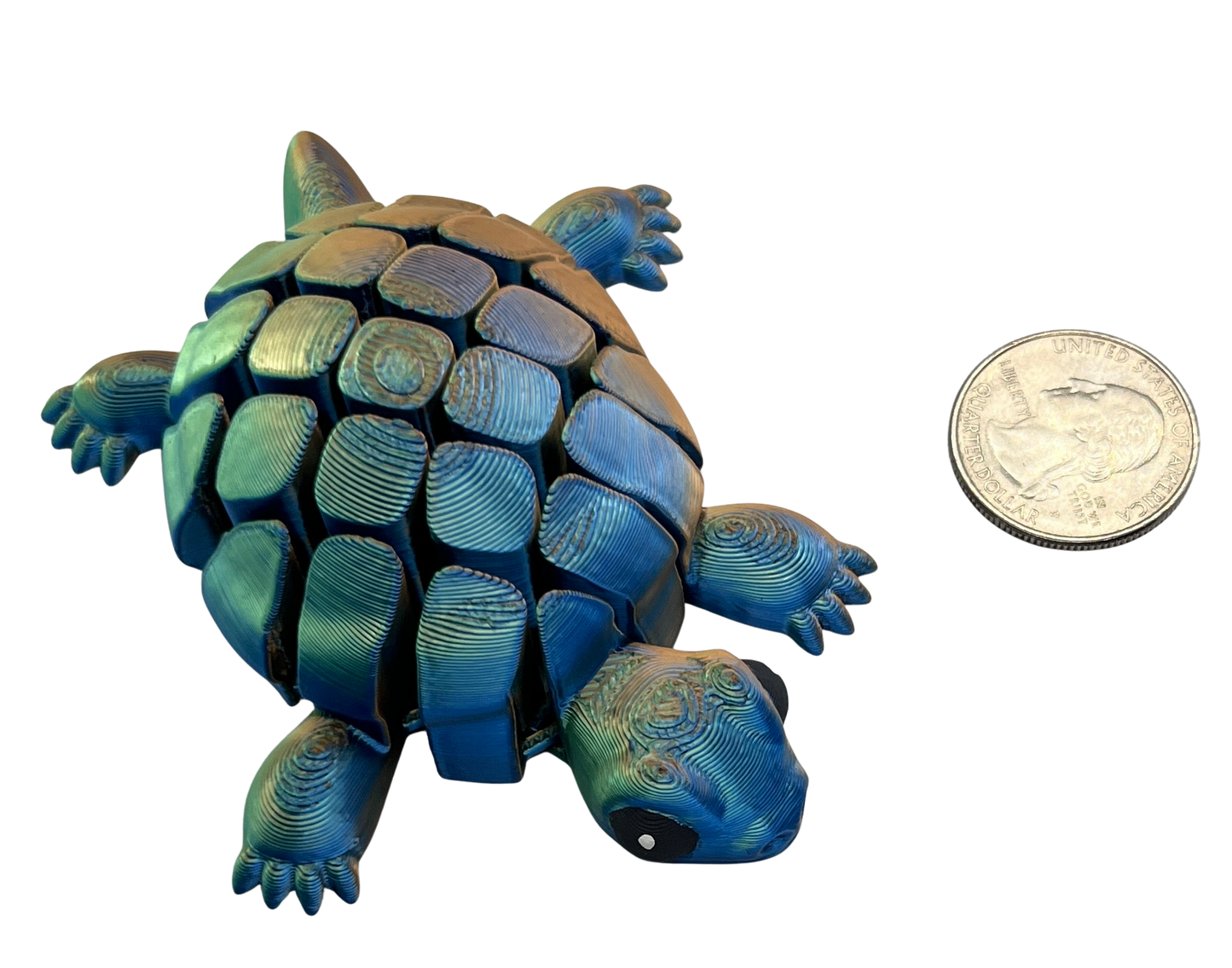 "TORTELLINI" 3D Printed PLA Turtle Fidget toy